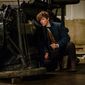 Foto 13 Fantastic Beasts and Where to Find Them