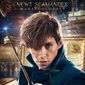 Poster 18 Fantastic Beasts and Where to Find Them