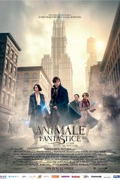 Fantastic Beasts and Where to Find Them