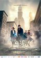 Film - Fantastic Beasts and Where to Find Them