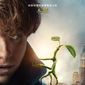 Poster 9 Fantastic Beasts and Where to Find Them