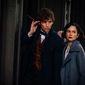 Foto 8 Fantastic Beasts and Where to Find Them