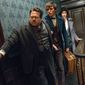 Foto 60 Fantastic Beasts and Where to Find Them