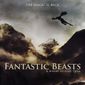Poster 33 Fantastic Beasts and Where to Find Them