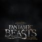 Poster 31 Fantastic Beasts and Where to Find Them