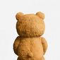 Poster 7 Ted 2