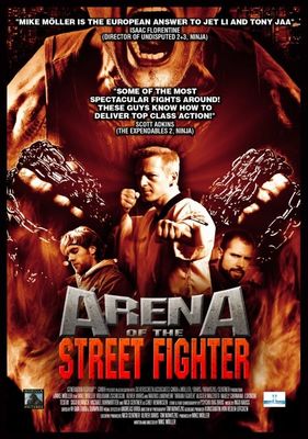 Arena of the Street Fighter poster