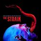 Poster 12 The Strain