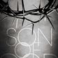 Poster 3 Son of God