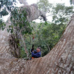 Imagine din galeria filmului Il était une forêt