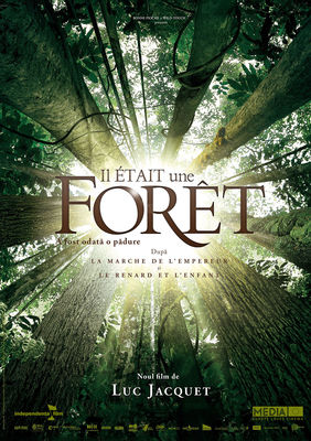 Il était une forêt poster