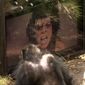 Primate Cinema: Apes as Family/Primate Cinema: Apes as Family