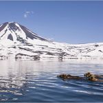 Imagine din galeria filmului Land of the Bears