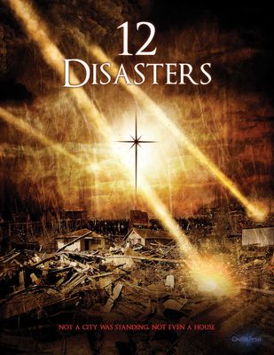 The 12 Disasters of Christmas poster