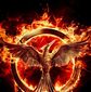 Poster 31 The Hunger Games: Mockingjay - Part 2