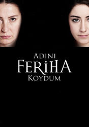 Poster Adini Feriha Koydum