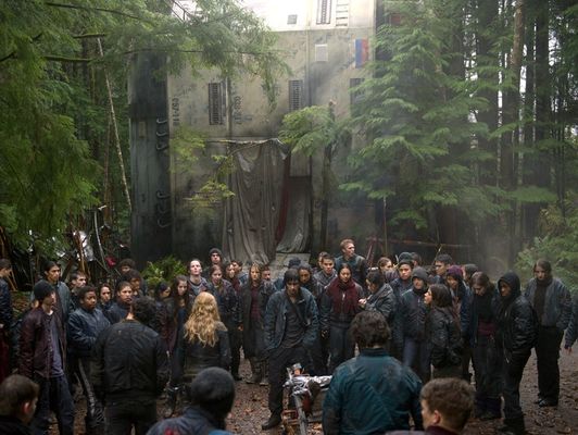 The 100