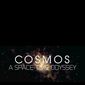 Poster 1 Cosmos: A Space-Time Odyssey