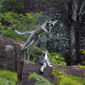 Foto 47 Island of Lemurs: Madagascar