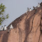 Foto 7 Island of Lemurs: Madagascar