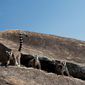 Foto 16 Island of Lemurs: Madagascar