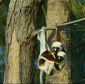 Foto 5 Island of Lemurs: Madagascar