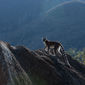 Foto 26 Island of Lemurs: Madagascar