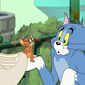 Tom and Jerry's Giant Adventure/Tom și Jerry: O aventură gigantică