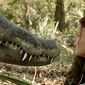 Ragin Cajun Redneck Gators/Mega Aligator, fiara nemiloasă