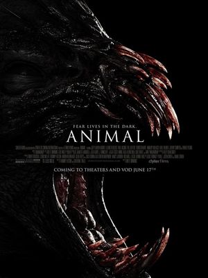 Animal poster