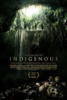 Indigenous poster