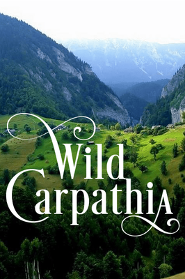 Wild Carpathia poster