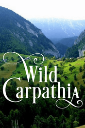 Poster Wild Carpathia