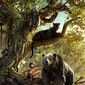 Poster 17 The Jungle Book