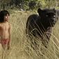 Foto 24 The Jungle Book