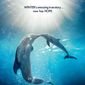 Poster 6 Dolphin Tale 2