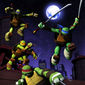 Teenage Mutant Ninja Turtles/Țestoasele Ninja Adolescente
