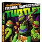 Poster 4 Teenage Mutant Ninja Turtles