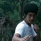 The Legend of Bruce Lee/­­­Legenda lui Bruce Lee