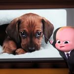 Imagine din galeria filmului The Boss Baby