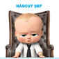 Poster 1 The Boss Baby