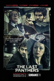 Poster The Last Panthers