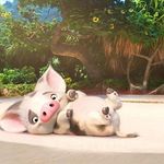 Imagine din galeria filmului Moana