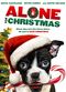 Film Alone for Christmas