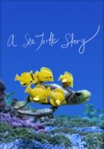 A Sea Turtle Story