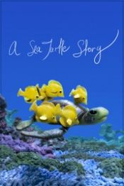Poster A Sea Turtle Story
