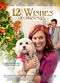 Film 12 Wishes of Christmas