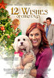 Film - 12 Wishes of Christmas