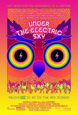 EDC 2013: Under the Electric Sky poster