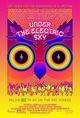 Film - EDC 2013: Under the Electric Sky